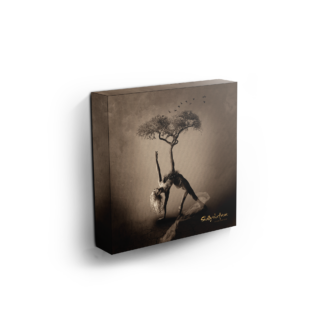 Burden (Healing Collection) - Canvas