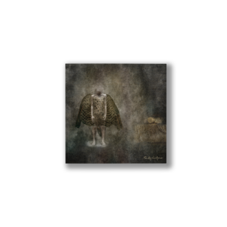 Shame (Healing Collection) - Poster